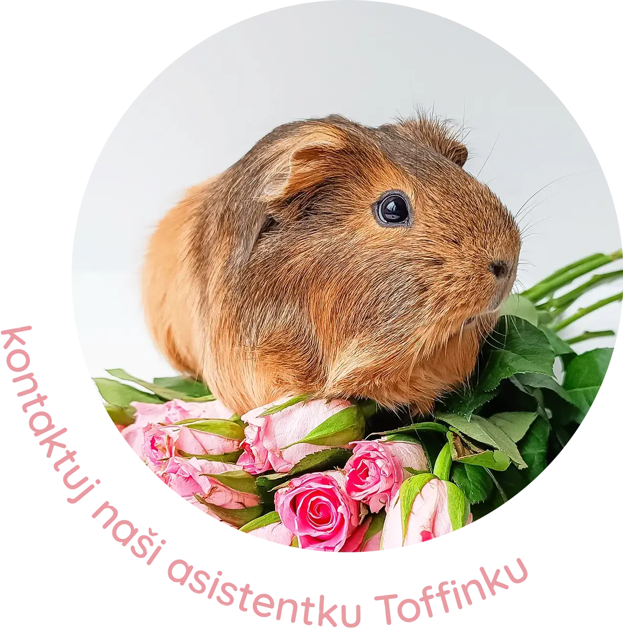 Napište nám