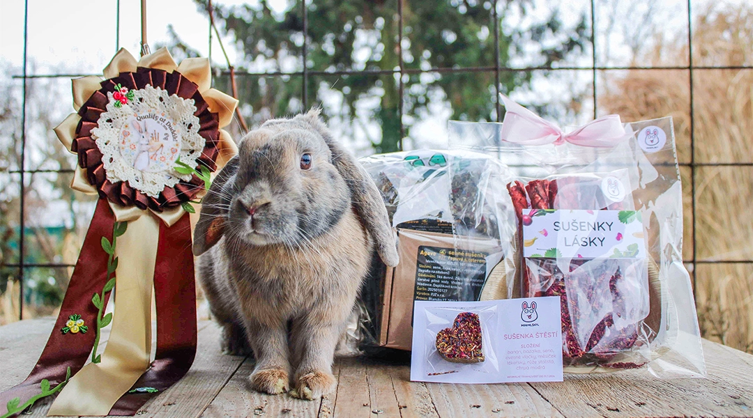 Champion Demolition Checkers Happiness