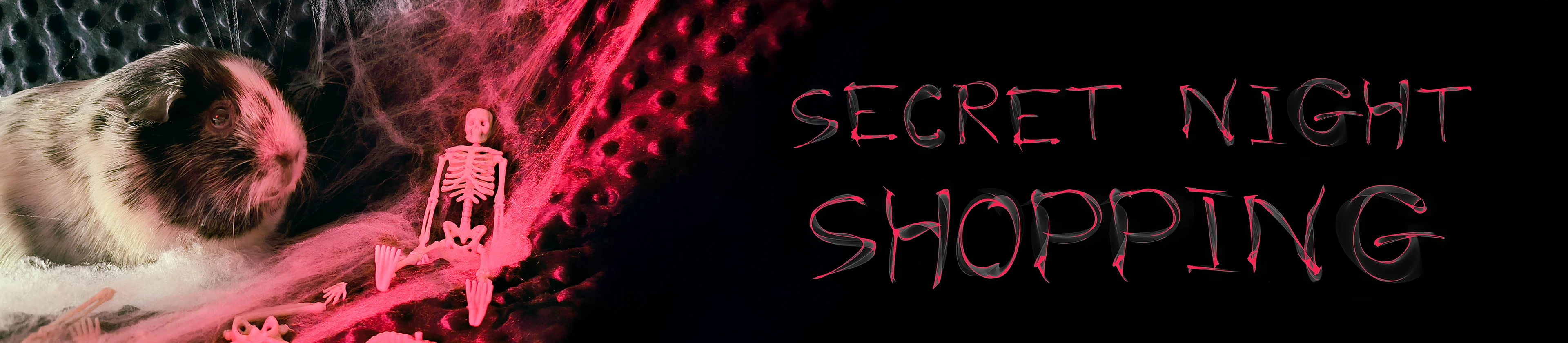 Secret Night Shopping