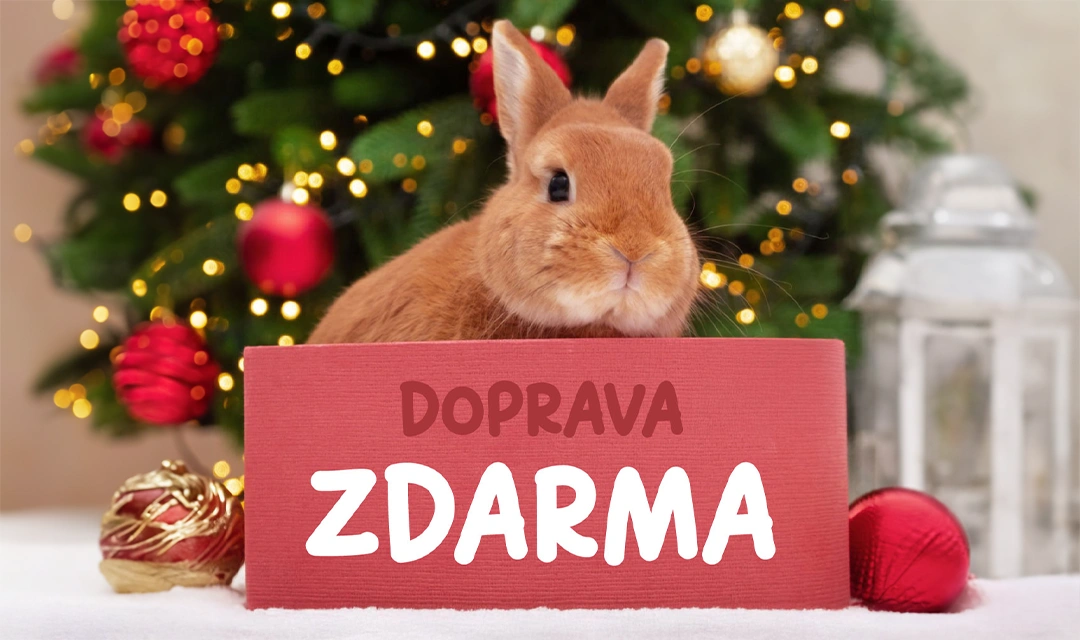 Vánoční doprava ZDARMA